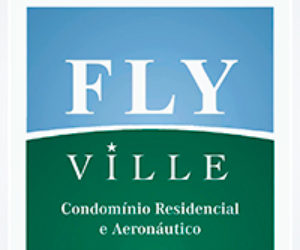 fly ville